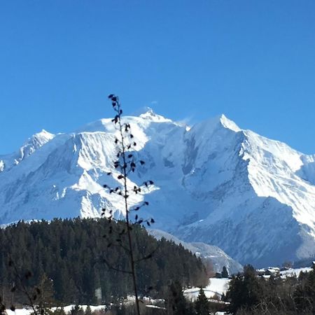 Les 4 Vallees Ξενοδοχείο Albertville Εξωτερικό φωτογραφία
